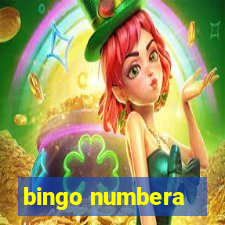 bingo numbera