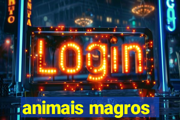 animais magros