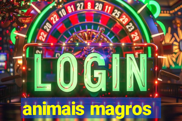 animais magros