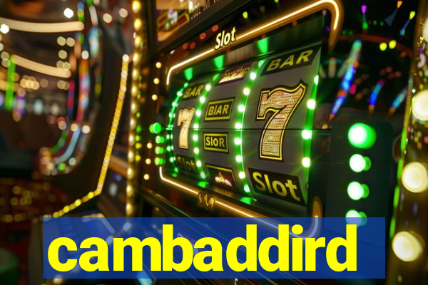 cambaddird