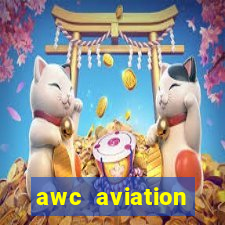 awc aviation weather center