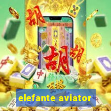 elefante aviator