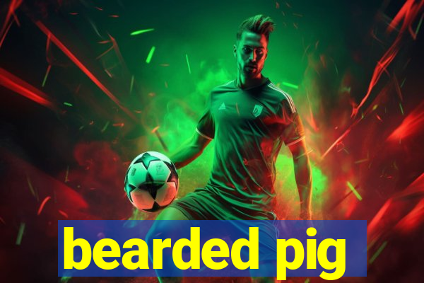 bearded pig