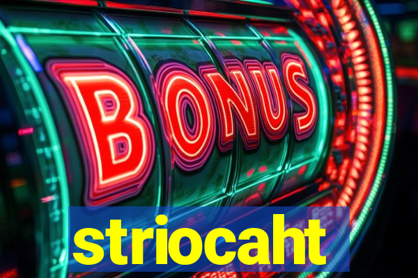 striocaht