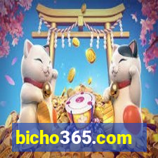 bicho365.com