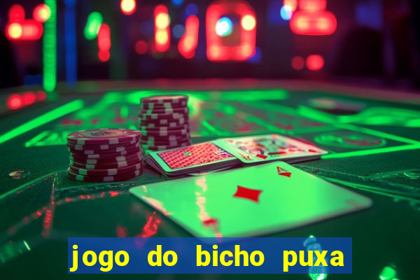 jogo do bicho puxa de dona maria