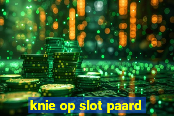 knie op slot paard