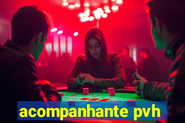 acompanhante pvh