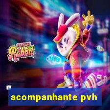 acompanhante pvh