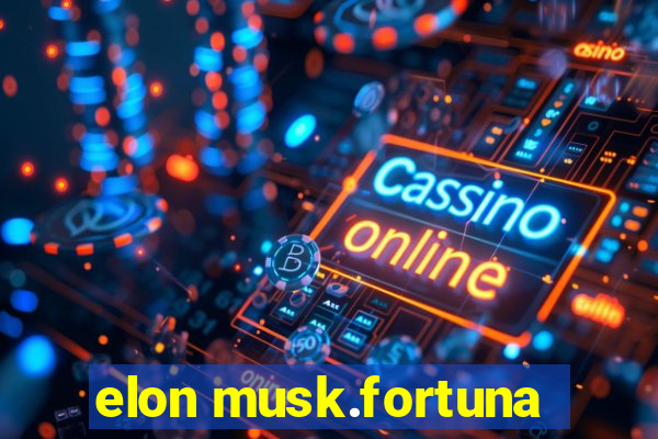 elon musk.fortuna