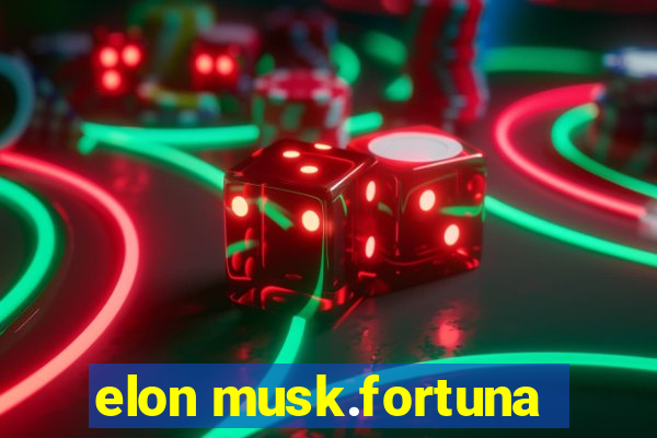 elon musk.fortuna