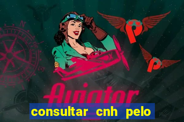 consultar cnh pelo cpf sp