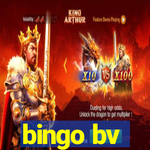 bingo bv