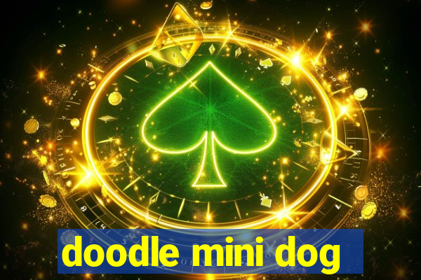 doodle mini dog