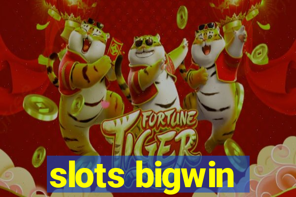 slots bigwin