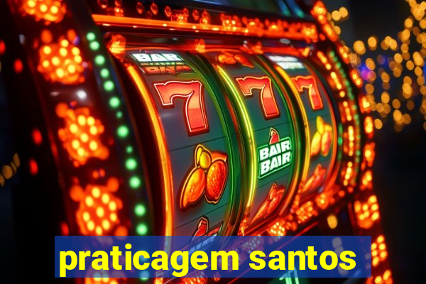 praticagem santos