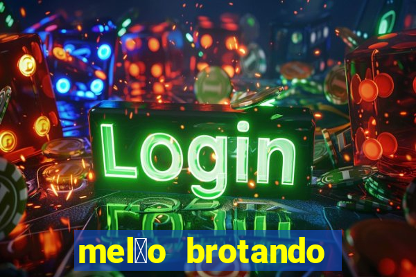 mel茫o brotando pode comer