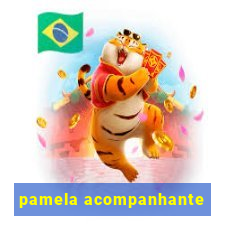 pamela acompanhante