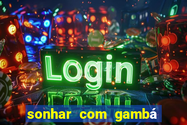 sonhar com gambá jogo do bicho