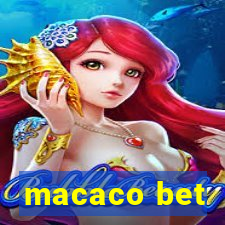 macaco bet