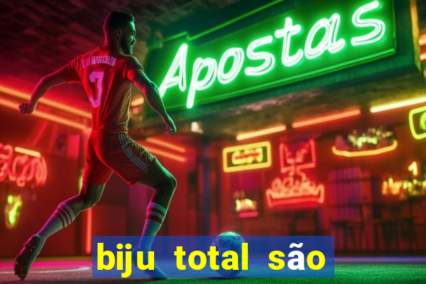 biju total são paulo - sp