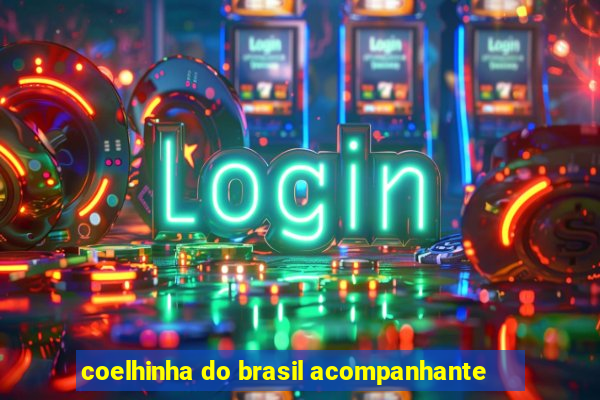 coelhinha do brasil acompanhante