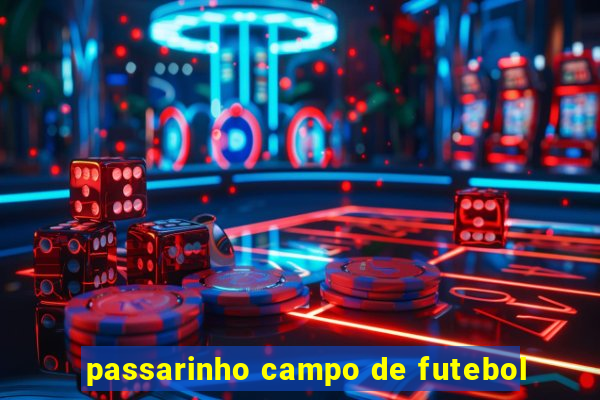 passarinho campo de futebol