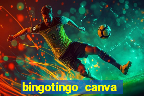 bingotingo canva pro gratis