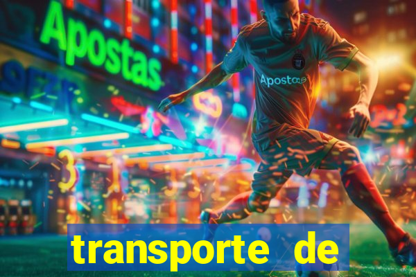 transporte de passageiros são jerônimo