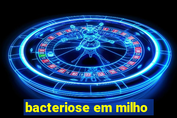 bacteriose em milho