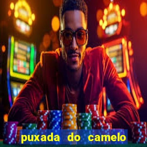 puxada do camelo no jogo do bicho