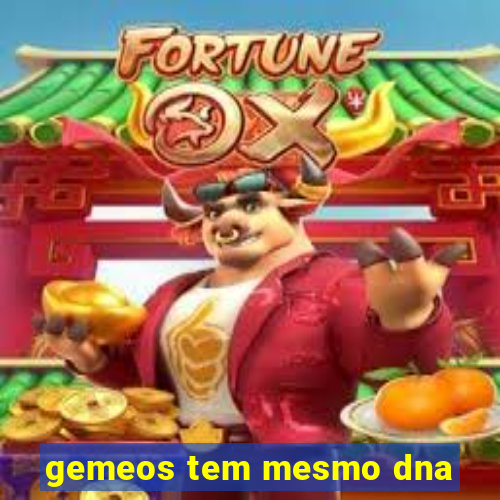 gemeos tem mesmo dna