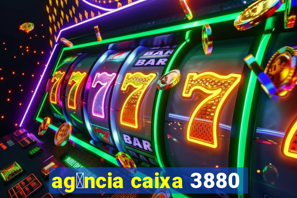 ag锚ncia caixa 3880