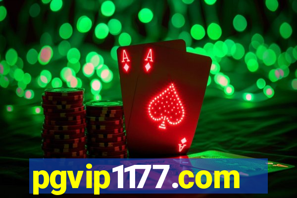 pgvip1177.com