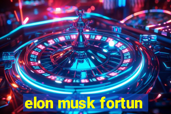 elon musk fortun