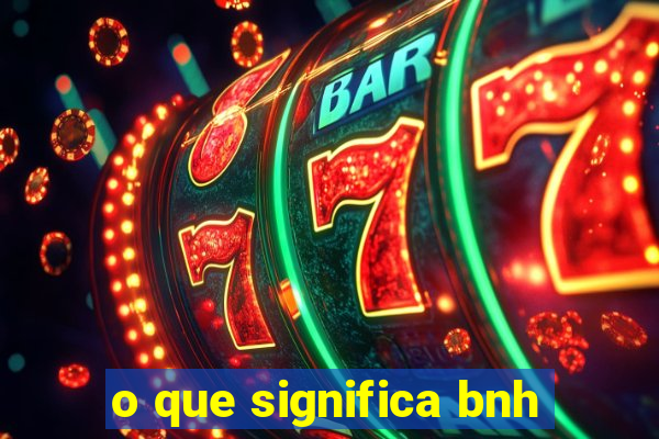 o que significa bnh