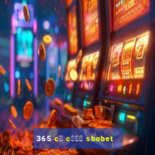 365 c谩 c瓢峄 sbobet