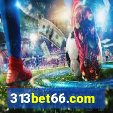 313bet66.com