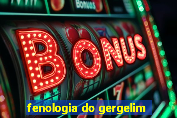 fenologia do gergelim