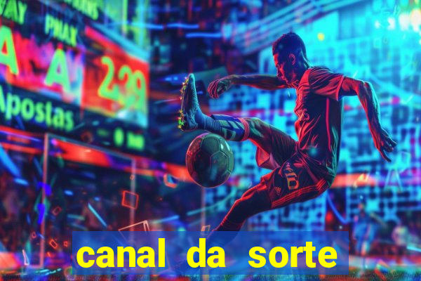 canal da sorte bingo de hoje