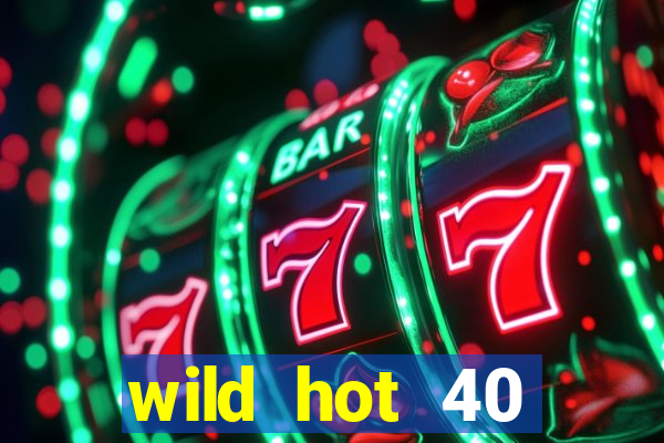 wild hot 40 christmas slot