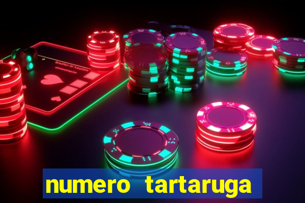 numero tartaruga jogo do bicho