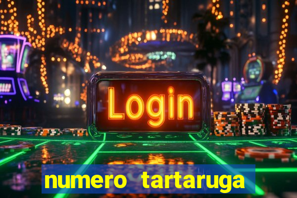 numero tartaruga jogo do bicho