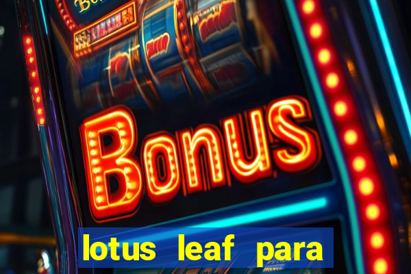 lotus leaf para que serve