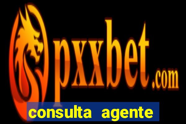 consulta agente autuador sp