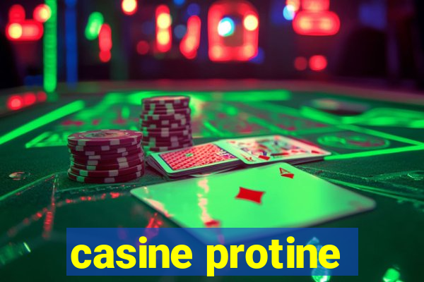 casine protine