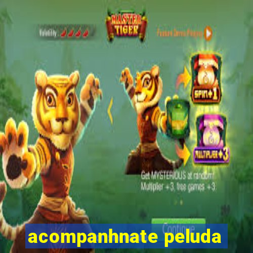 acompanhnate peluda