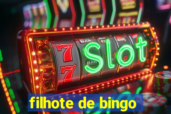 filhote de bingo