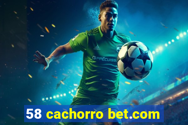 58 cachorro bet.com