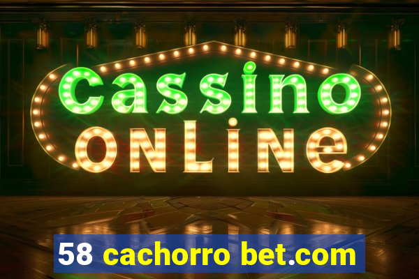 58 cachorro bet.com